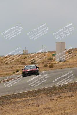 media/May-03-2025-Lucky Dog Racing (Sat) [[206de64b9d]]/Turn 6 (150pm-230pm)/